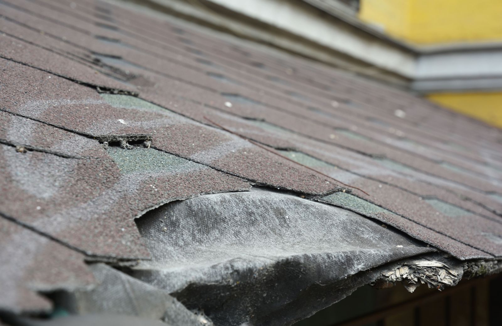 Aguawater Restoration & Roofing Images
