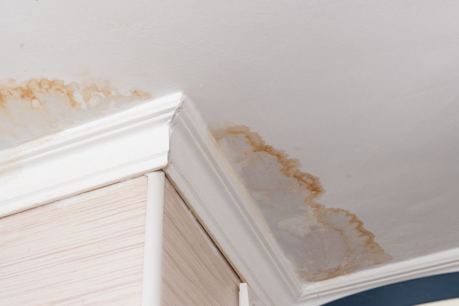Aguawater Restoration & Roofing Images