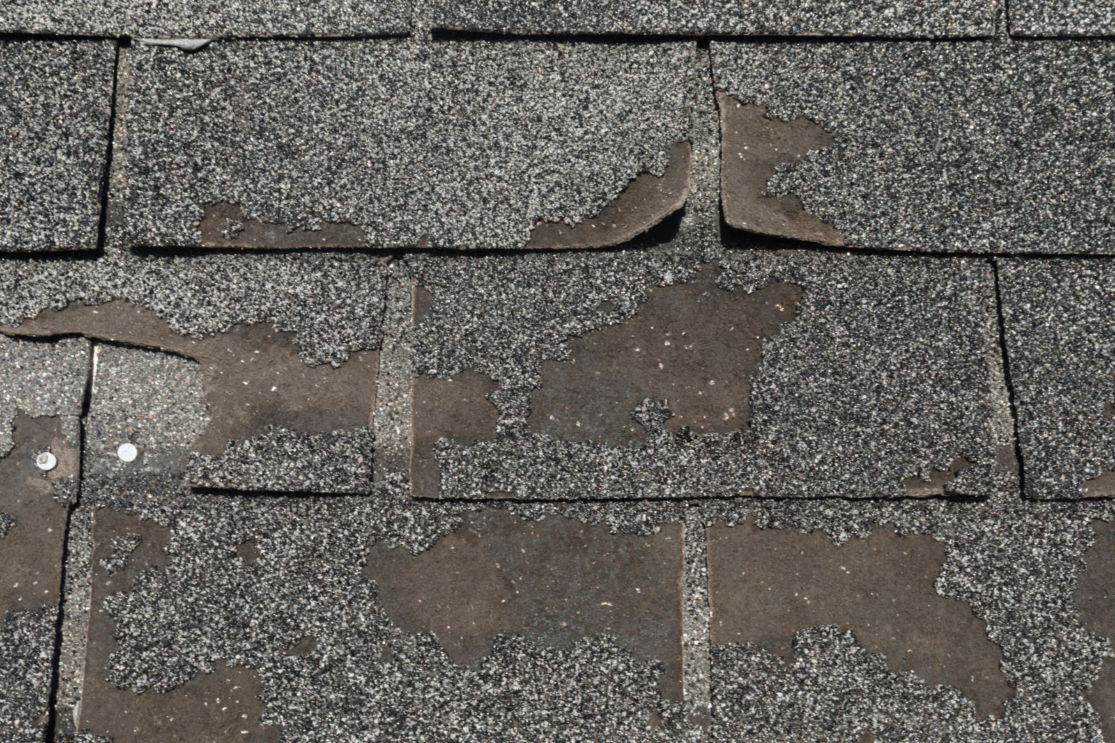 Aguawater Restoration & Roofing Images